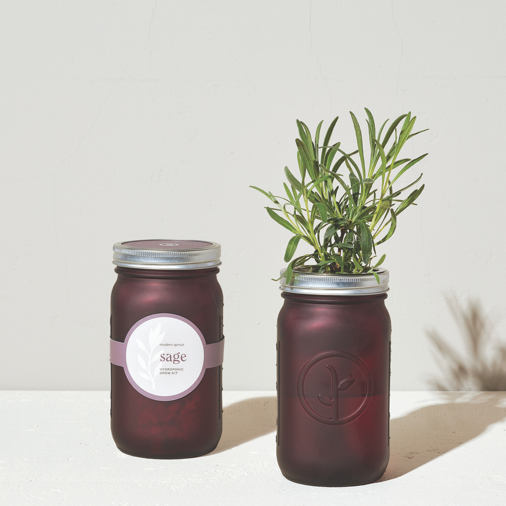 Modern Sprout Sage Garden Jar
