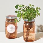 Modern Sprout Parsley Garden Jar