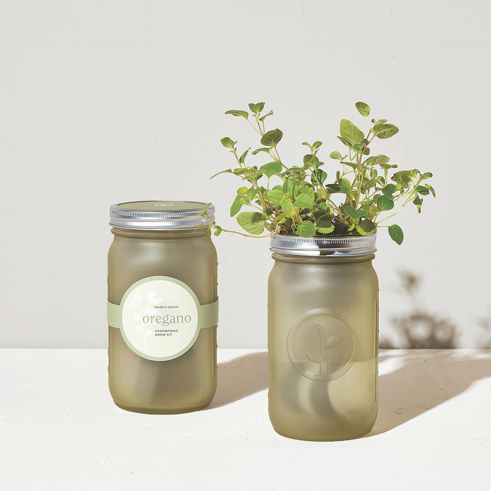 Modern Sprout Oregano Garden Jar